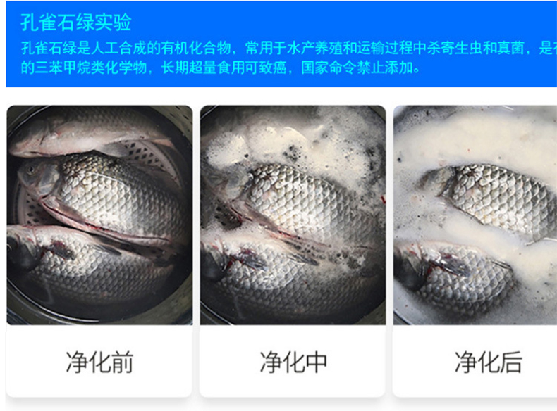 果蔬解毒機-02詳情頁_10.jpg
